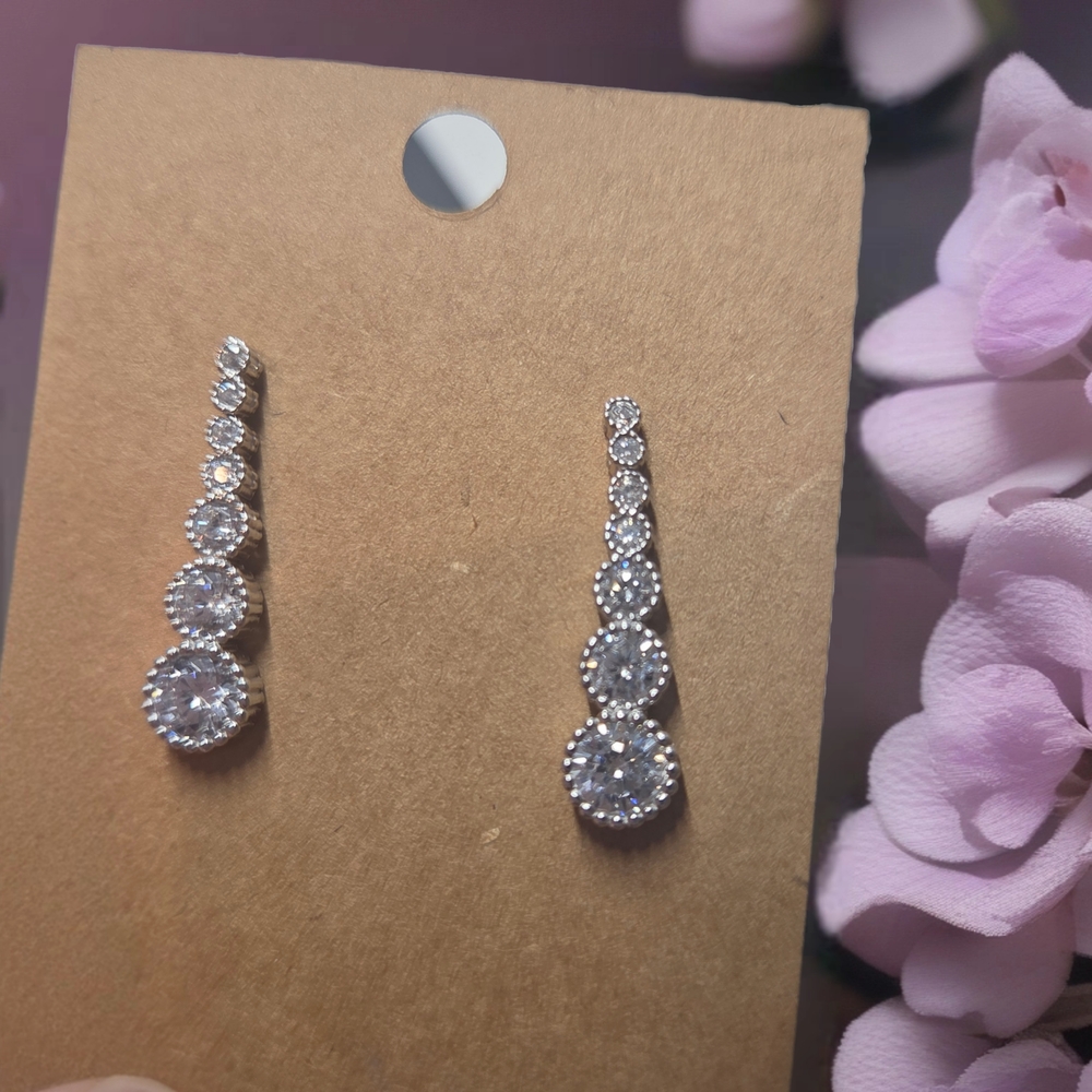 Elegant Silver Drop Earrings